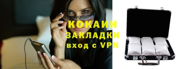 трава Бородино