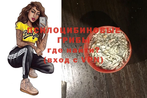 дурь Кодинск