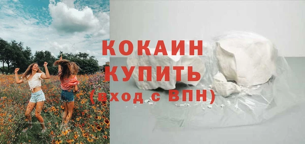 трава Бородино