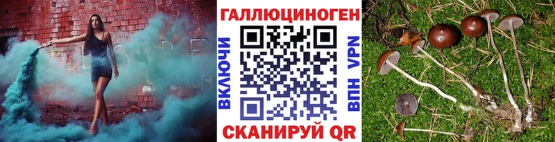 кракен зеркало  купить закладку  Дивногорск  Галлюциногенные грибы ЛСД 