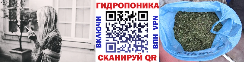 купить наркотики сайты  Дивногорск  Шишки марихуана гибрид 